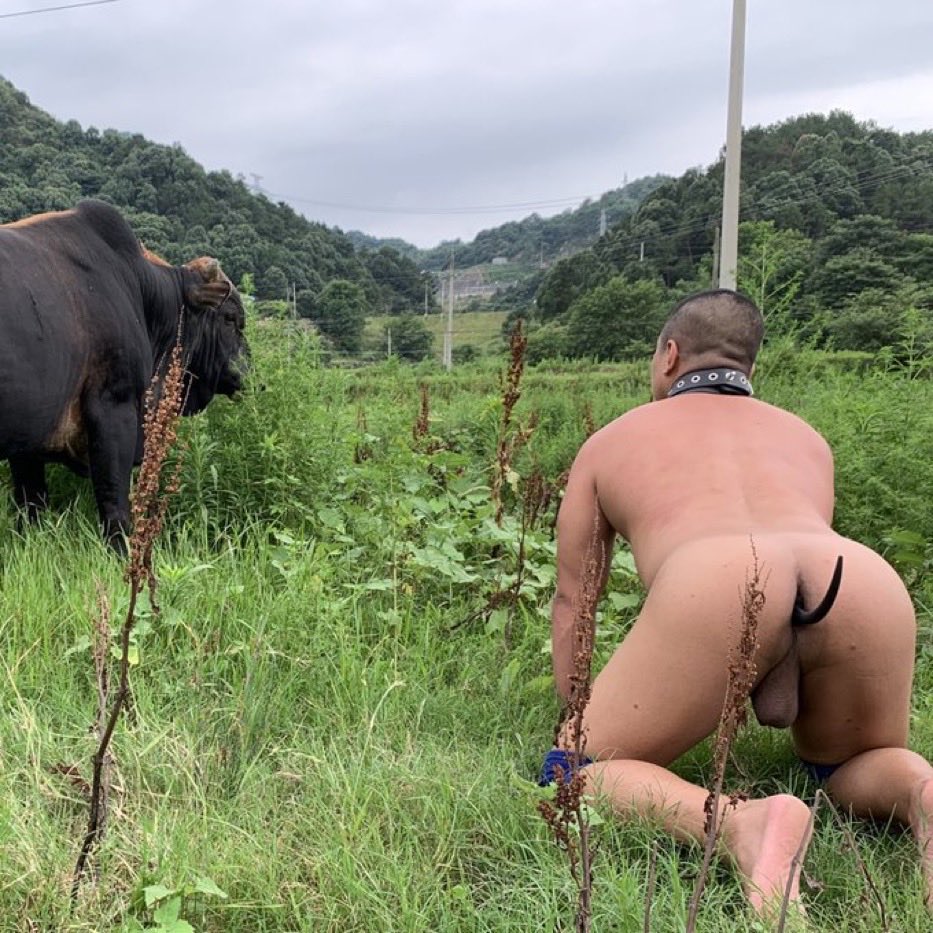 ropesshibari1's tweet photo. https://t.co/kVRF0UkkJ9
