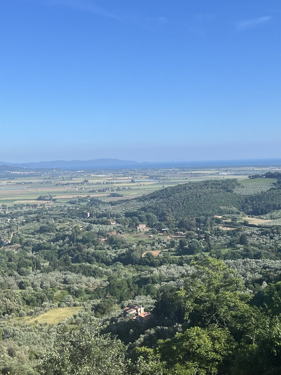 James Forbes tweet media