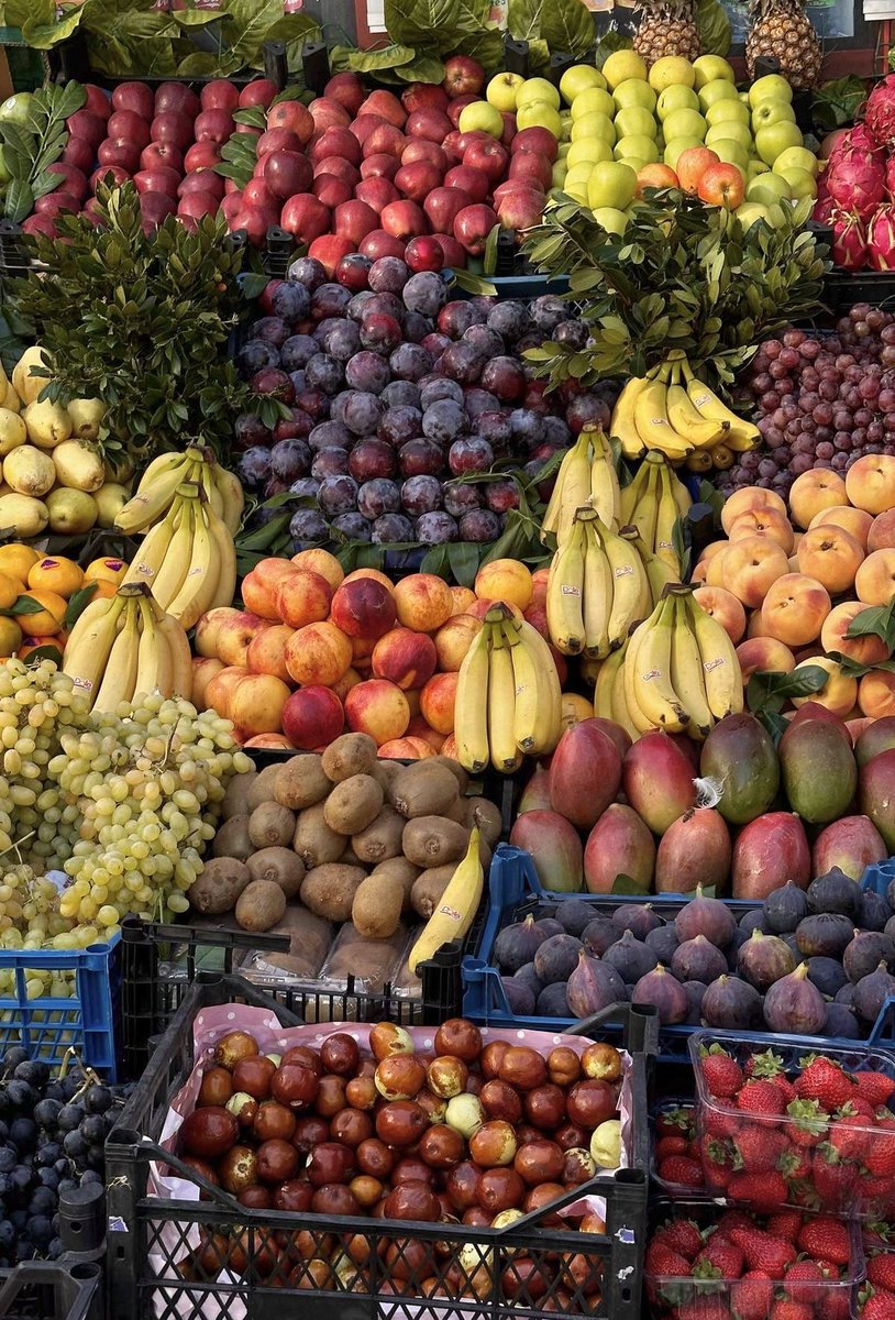 Peyton Elroy tweet media