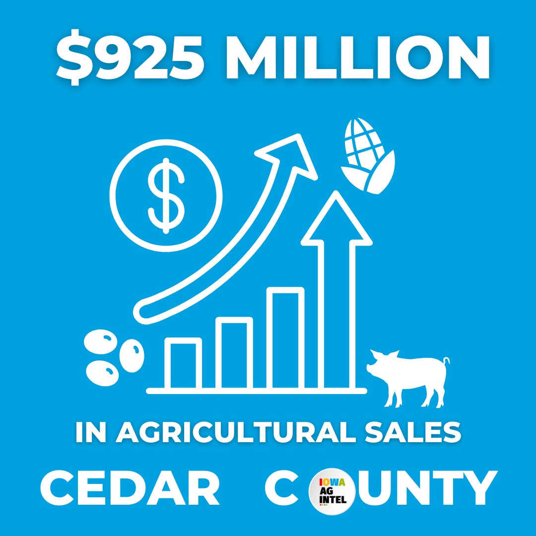 𝘼𝙜𝙧𝙞𝙘𝙪𝙡𝙩𝙪𝙧𝙚 𝙞𝙣 𝘾𝙚𝙙𝙖𝙧 𝘾𝙤𝙪𝙣𝙩𝙮
2,806 Jobs in Agriculture
$925 Million in total agriculture sales
643,790 hogs sold
$365.6 Million Market value of crops
𝘚𝘰𝘶𝘳𝘤𝘦: 2022 𝘐𝘰𝘸𝘢 𝘈𝘨 𝘌𝘤𝘰𝘯𝘰𝘮𝘪𝘤 𝘊𝘰𝘯𝘵. 𝘚𝘵𝘶𝘥𝘺

🔗bit.ly/CedarCounty