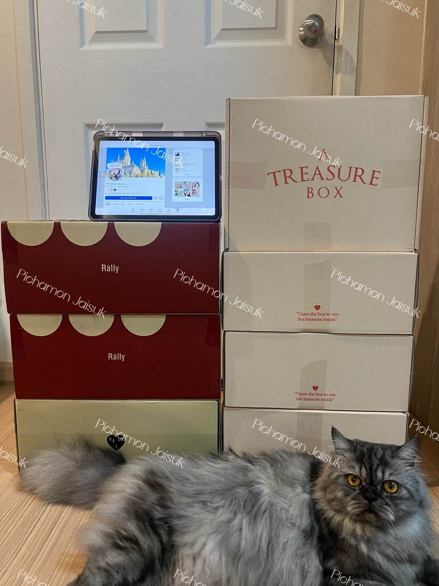 usebypicha 🧁 tweet media