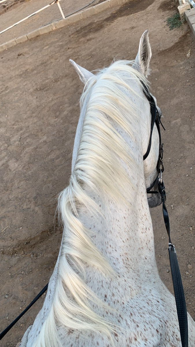 abdu_lha's tweet photo. #خيل إنطفاء بعض المشاعر رحمه " https://t.co/VcAmIoEMYm