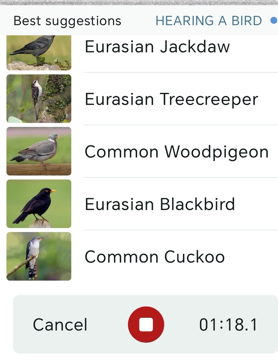 Listening from my front garden to a Cuckoo calling. Can I add it to the garden list? 🤔 <a href="/Derbyshirebirds/">Derbyshire Ornithological Society (DOS)</a>