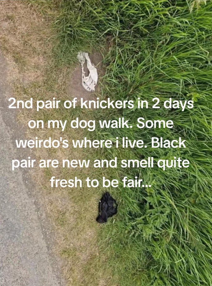 No Context Brits tweet media