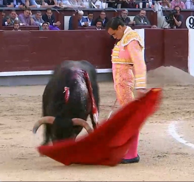 Un mostrenco sin clase y malandado, aparentemente vacío, acaba persiguiendo la muleta, hipnotizado por el arte del toreo de Fortes en Las Ventas. <a href="/JimenezFortes/">Saúl Jiménez FORTES</a>
La evidencia del momento de un toreo.
Aire fresco.
Pena de espada.
Le debe servir para ponerse a funcionar de verdad.