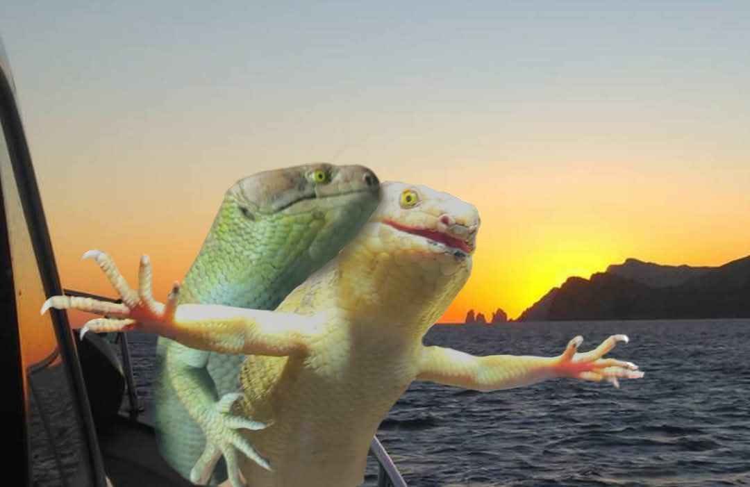 Speed Docs tweet media