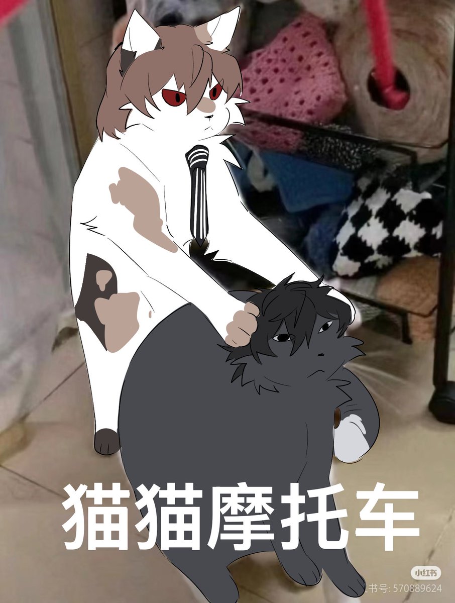 BirdOceanB25106's tweet photo. #Persona5 
#shuake https://t.co/o8EY8DjYD3