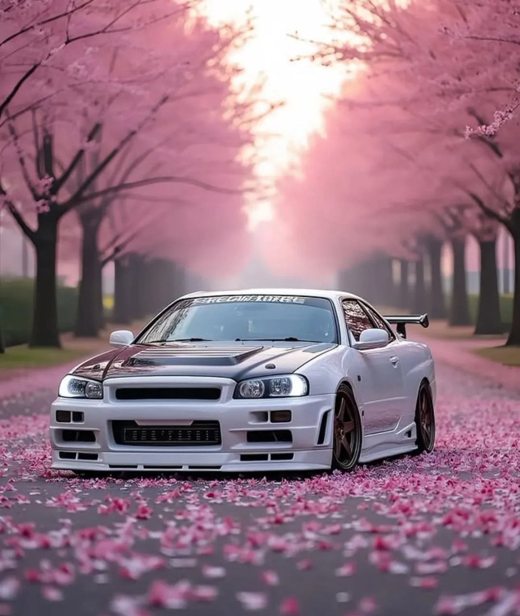 kingsofjdm's tweet photo. 🇯🇵🌸 https://t.co/3z8D5pM9xt