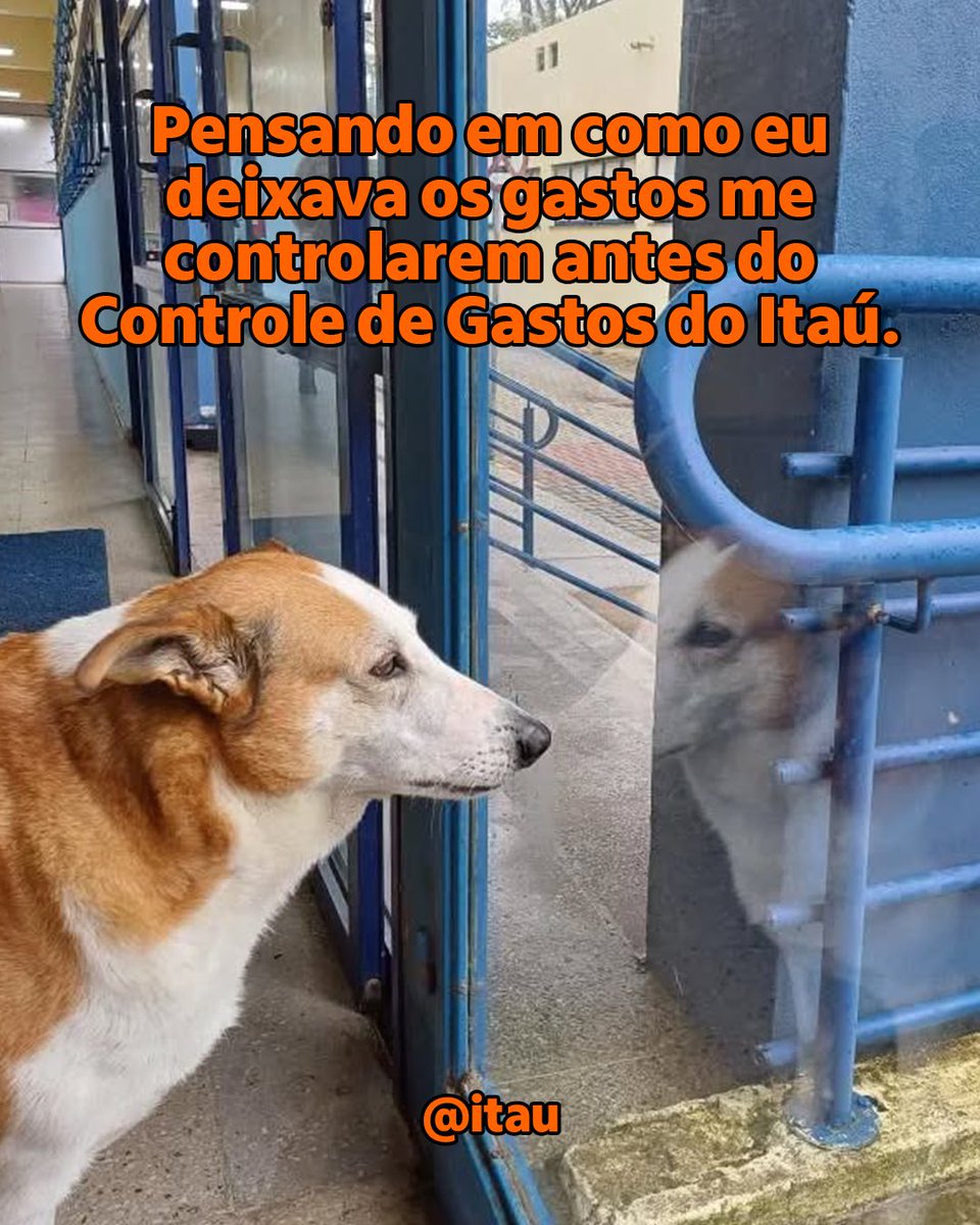 itau tweet picture