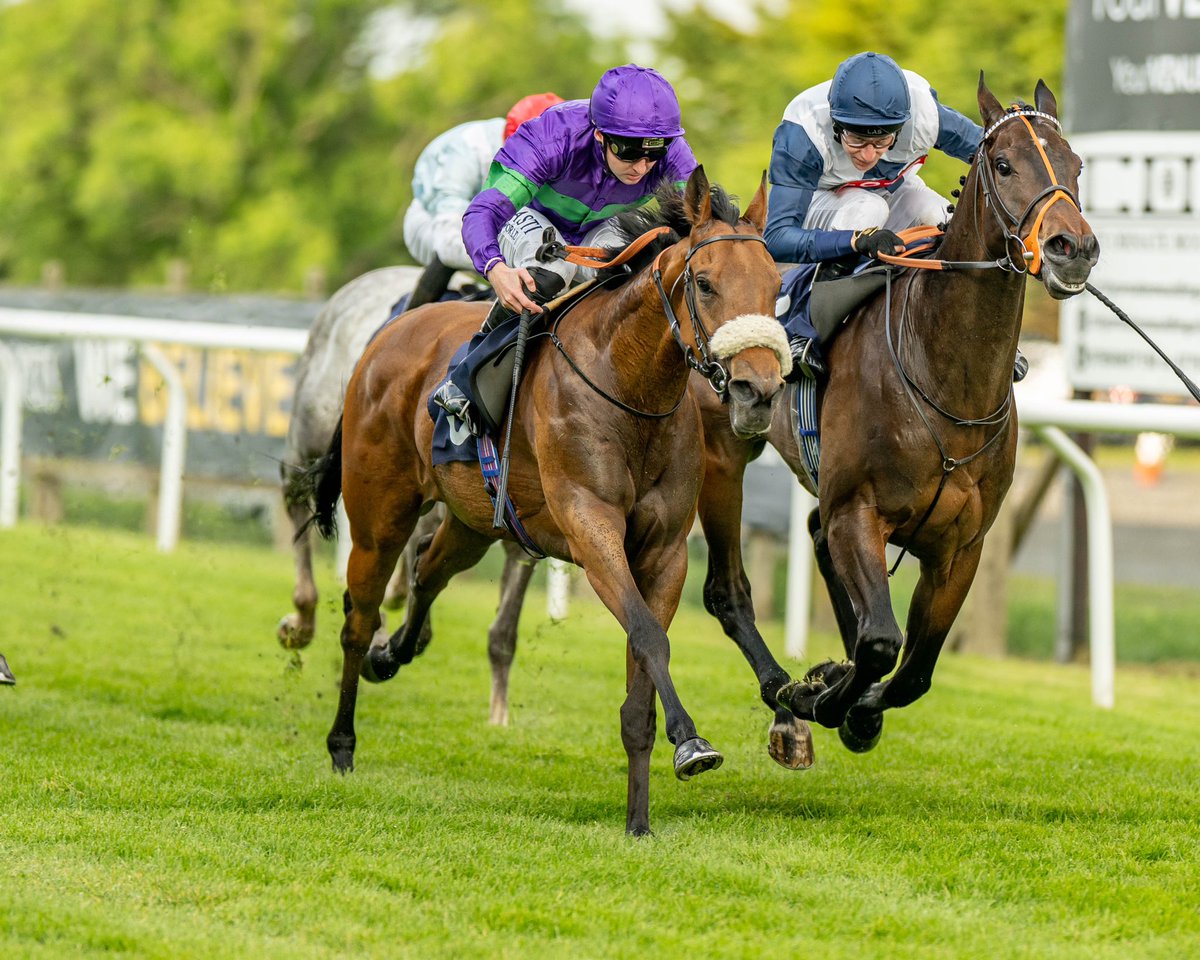 Brighton Racecourse (@brightonrace) on Twitter photo RACE 2 RESULT - The <a href="/StarSports_Bet/">Star Sports Bookmakers</a> We Believe In Bookmaking Restricted Novice Stakes
🥇 Salve Electra
🥈 Immediate Effect
🥉 Alfie D
Jockey: Adam Farragher
Trainer: James Horton
Owner: Hunscote Stud Limited
📸<a href="/dcoolimages/">Darren Cool Images</a> RACE 2 RESULT - The <a href="/StarSports_Bet/">Star Sports Bookmakers</a> We Believe In Bookmaking Restricted Novice Stakes
🥇 Salve Electra
🥈 Immediate Effect
🥉 Alfie D
Jockey: Adam Farragher
Trainer: James Horton
Owner: Hunscote Stud Limited
📸<a href="/dcoolimages/">Darren Cool Images</a>