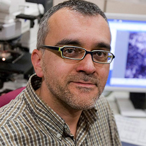 📣 𝐈𝐝𝐞𝐧𝐭𝐢𝐟𝐢𝐜𝐚𝐧𝐭 𝐞𝐥 𝐫𝐢𝐬𝐜 𝐯𝐢𝐧𝐠𝐮𝐭 𝐝𝐞𝐥 𝐜𝐞𝐥: 𝐚𝐬𝐭𝐞𝐫𝐨𝐢𝐝𝐞𝐬 𝐩𝐨𝐭𝐞𝐧𝐜𝐢𝐚𝐥𝐦𝐞𝐧𝐭
𝐩𝐞𝐫𝐢𝐥𝐥𝐨𝐬𝐨𝐬 𝐢 𝐞𝐥𝐬 𝐬𝐞𝐮𝐬 𝐟𝐫𝐚𝐠𝐦𝐞𝐧𝐭𝐬
📆 22/05
⏰ 19:30
📍 <a href="/casadeculturagi/">Casa Cultura Girona</a>
👤 Josep Maria Trigo (<a href="/Josep_Trigo/">Dr. Josep M Trigo ⭐🌛#PlanetaryDefense #DART HERA</a>)
👉 tuit.cat/nC4b5