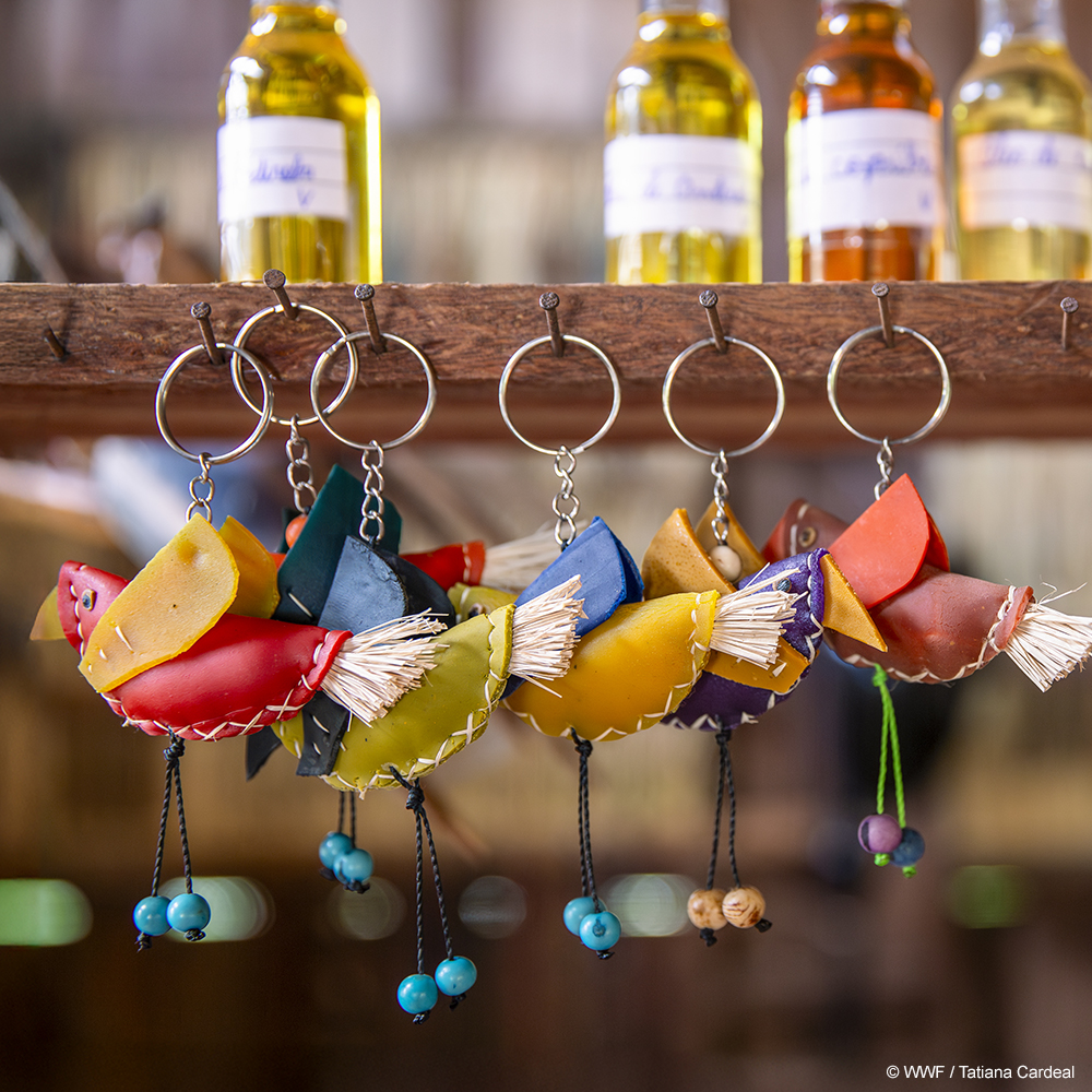 The Tapajós River basin stretches over 120 million acres of land in the northern Brazilian states of Mato Grosso, Pará, Amazonas, and a small portion of Rondônia. In the last 20 years, the region has lost more than 20% of its forest cover.
 
Hear from community members as they