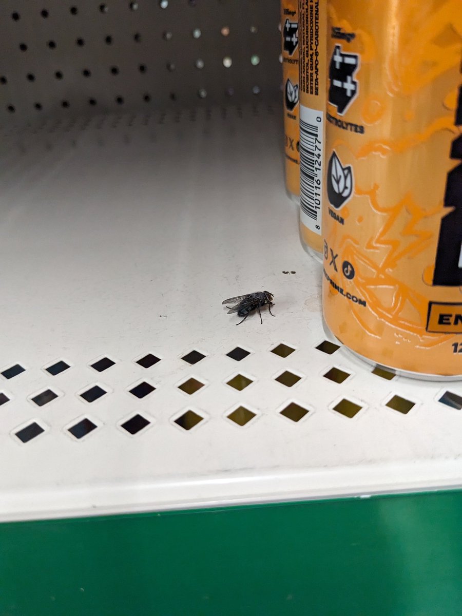 IS THAT THE GUY FROM BREAKING BAD!?!?!?!?