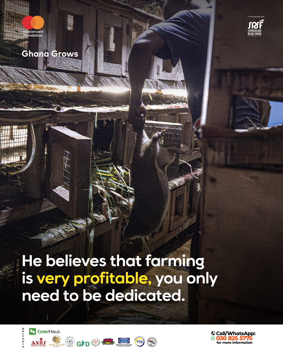 GhanaGrows's tweet photo. Agriculture isn’t only about crop farming. Francis is proving that small livestock can drive big change. This is what grassroots leadership looks like.
Ghana Grows!! Hope Dey!!
#ghanagrows #hopedey #ggimpactstories #animalfarming #perceptionchange https://t.co/kEgAOjxnUN