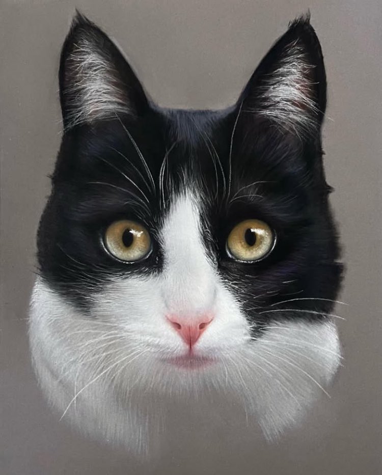 Finishing the eye off so a throwback to the extremely characterful cat "Nina" hope everyone's making the most of the sun 🙂.
Pastel pencil and soft pastel drawing/painting on pastelmat.
#art #drawings #drawingartist #cat #cats #pastels #realism #pencilart #pencilartwork #artsy