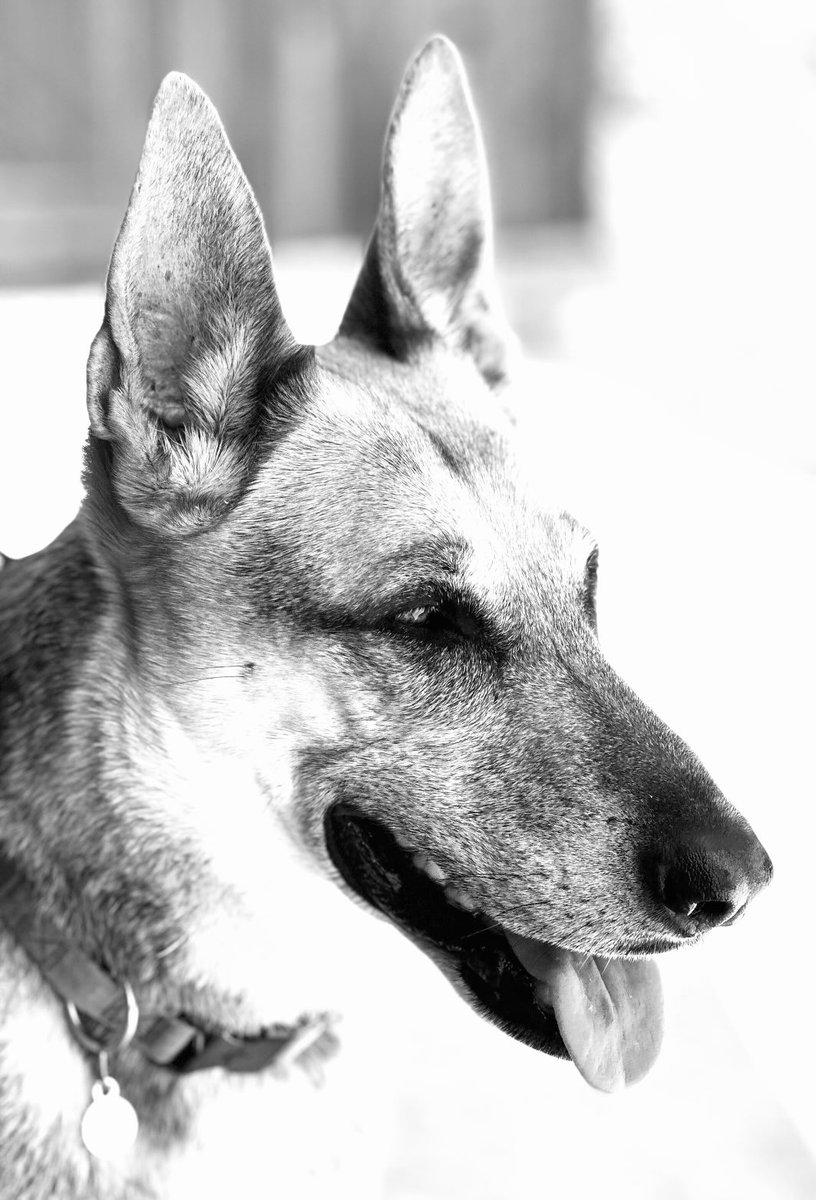 Wendie Malick tweet media