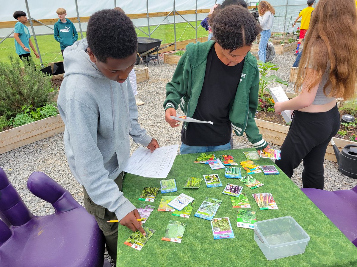 Stephanie Francis (@mrsfrancisnsd) on Twitter photo Filling the greenhouse with companion plants and seeds! <a href="/NorthgateProud/">Caroline Johns</a> <a href="/NorthgateMiddle/">Northgate Middle School</a> Filling the greenhouse with companion plants and seeds! <a href="/NorthgateProud/">Caroline Johns</a> <a href="/NorthgateMiddle/">Northgate Middle School</a>
