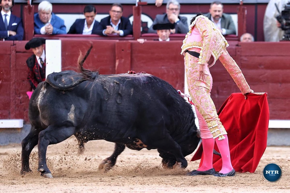 EnCuentaGotas's tweet photo. Sensacional Saul Jiménez Fortes en Las Ventas 2025. Toreo caro. De pureza... https://t.co/KOKNz2wFmF