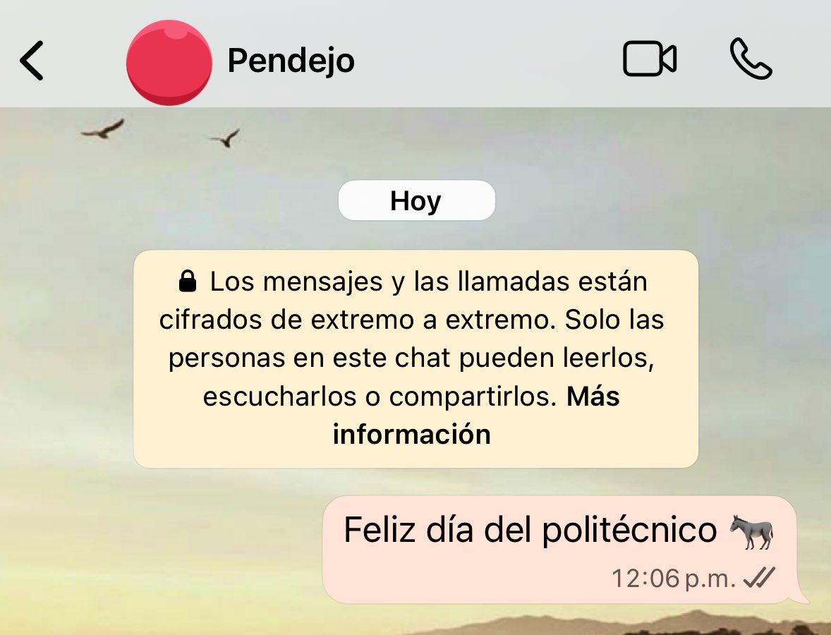 LadyA194's tweet photo. Yo buscando cualquier pretexto para hablarle a mi ex. https://t.co/D621ympSmN