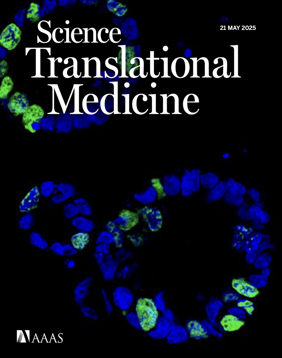 A clinical study reveals why vaccines for meningococcus can partially protect against gonorrhea, CRISPR screens reveal a new treatment target in bone metastasis, and more in the new issue of #ScienceTranslationalMedicine. scim.ag/3SIKl8W