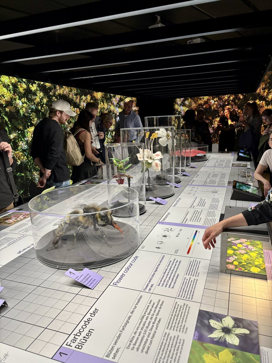 NickDesnoyer's tweet image. Finally, some plants at the Natural History Museum of @UZH_en! 🌱
Beautifully designed installation and honored to have some of my videos included!