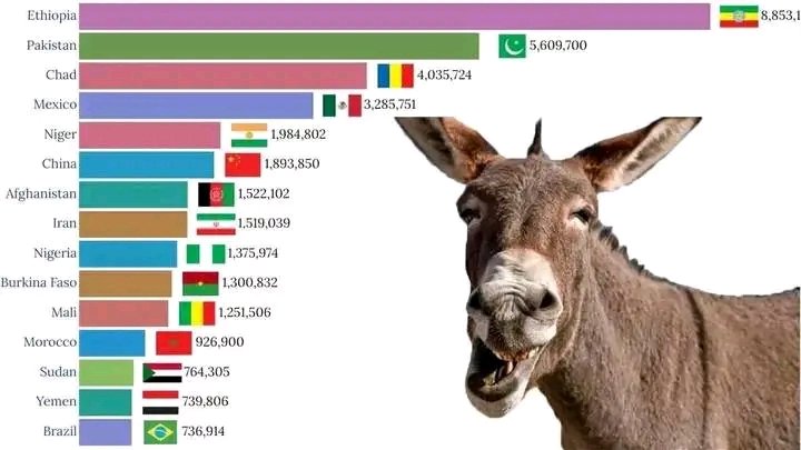 La population des ânes sur le plan mondial.

 Le Mali ,le Burkina Faso et le Niger sont parmi les pays ayant le plus d'ânes .

Nb : les ânes de l'aes ne sont pas comme les autres , car ils sont capables de se connecter sur les réseaux sociaux.😎

Tom la souris 🕵️
