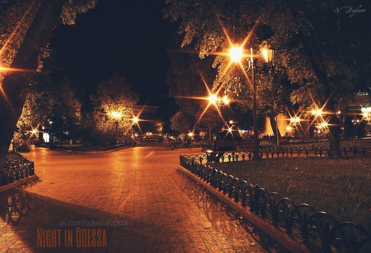 Катерина Галич tweet media