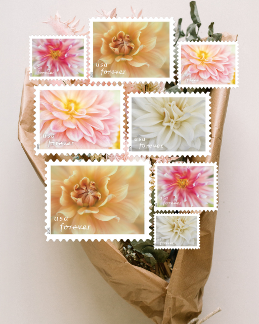 2000SuperRob's tweet photo. #Postage #ForeverStamp #ForeverStamps #Stamps #NoMoreBoringEnvelopes #MailLove #SendMoreMail #HappyMail #USPS #UnitedStatesPostalService #USPostalService #USPSEmployee https://t.co/7vq0Jii717 https://t.co/Tw1p3Qv2Dj