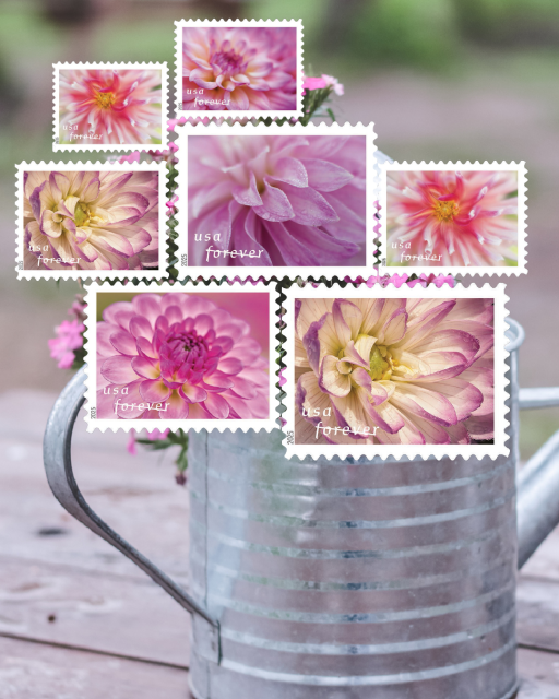 2000SuperRob's tweet photo. #Postage #ForeverStamp #ForeverStamps #Stamps #NoMoreBoringEnvelopes #MailLove #SendMoreMail #HappyMail #USPS #UnitedStatesPostalService #USPostalService #USPSEmployee https://t.co/7vq0Jii717 https://t.co/Tw1p3Qv2Dj