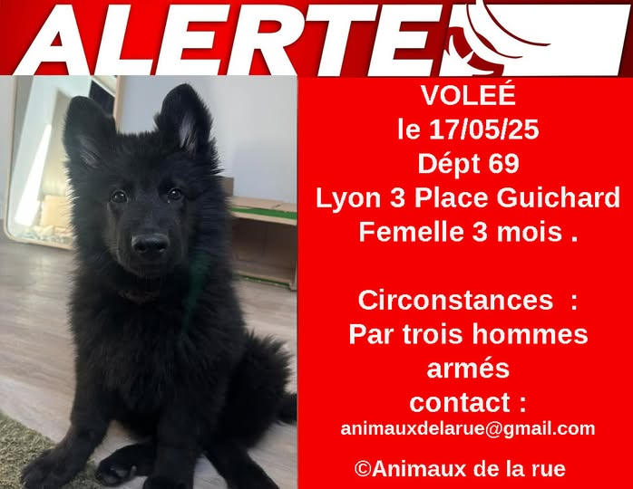 BRINDILLE85 💙🤍💔 🧡 tweet media