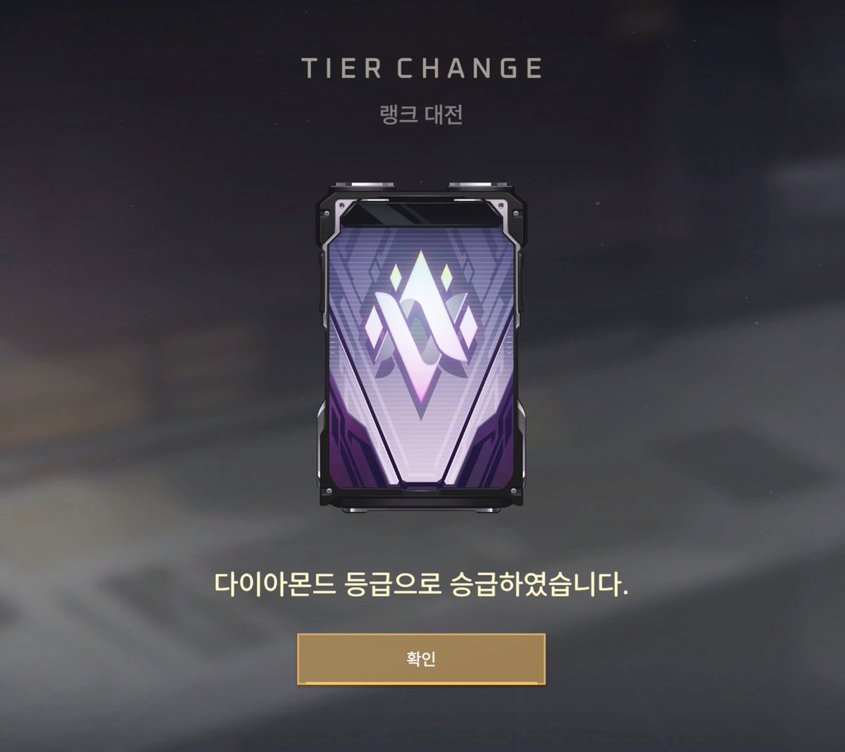 결국 갓다........