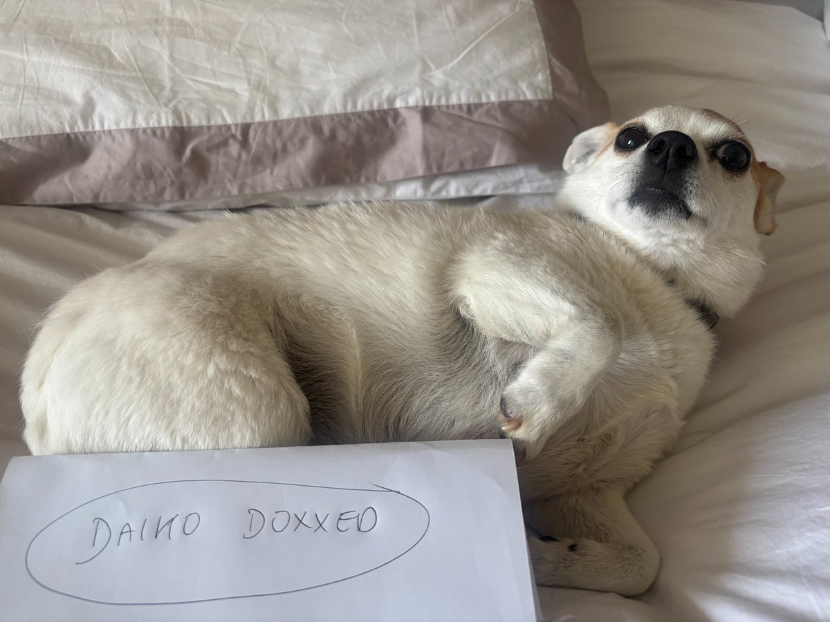 My lil pup is Daiko doxxed <a href="/Daikodog/">Daiko</a>