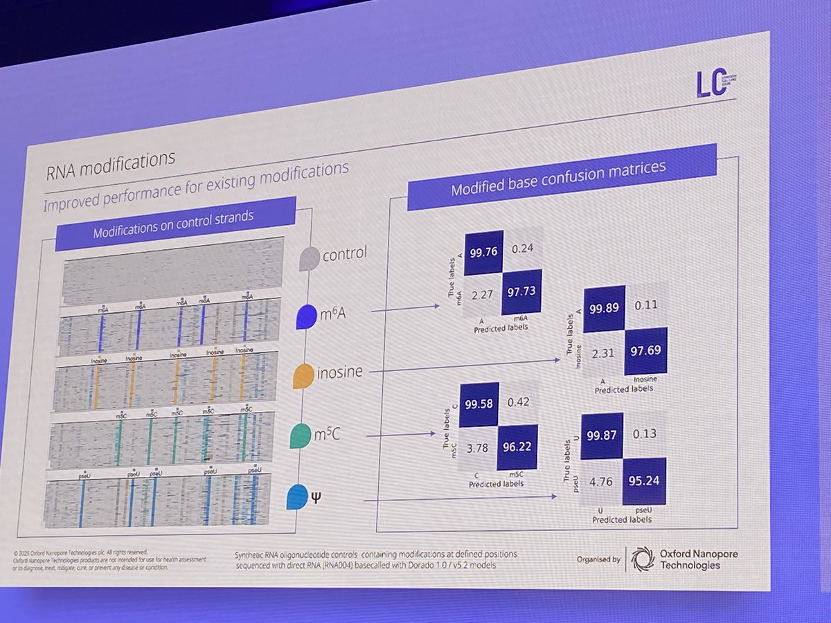 Rahmat Kemal 🍉 tweet media