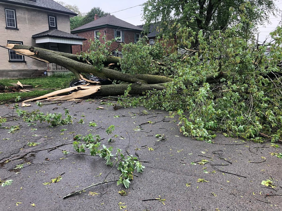 On this day 3 years ago, one of the quickest, wildest storms in recent memory ran right through Peterborough! 

Do you remember the derecho? 

📸 <a href="/A_Elliott_/">Tarcy Ducker</a>