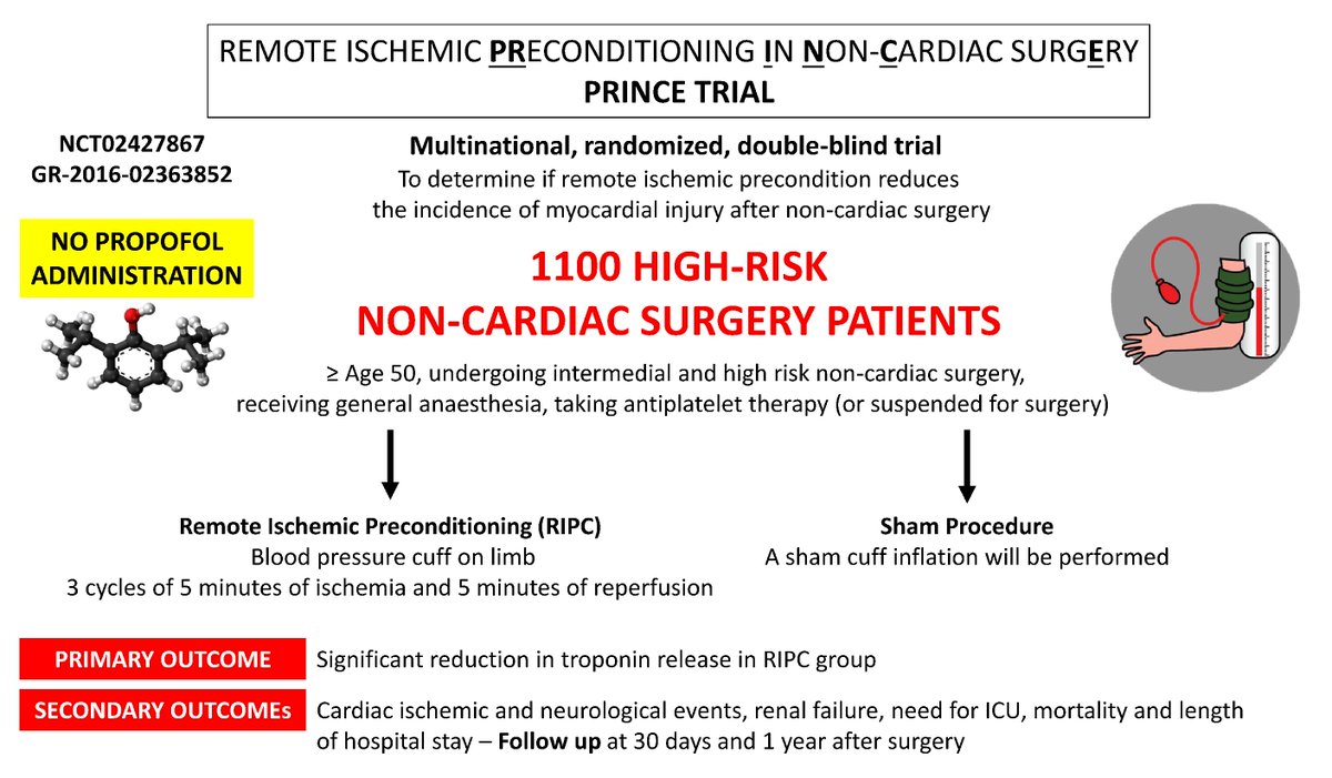 Alessandro Belletti (@alebelletti1) on Twitter photo 3/
#PRINCE study
Does remote ischemic preconditioning reduce myocardial injury following major noncardiac surgery?
Rationale and design on <a href="/MRE_signavitae/">Signa Vitae</a>:signavitae.com/articles/10.22…
<a href="/GaeLombardi/">Gaetano Lombardi</a> <a href="/MGrecoMD/">Massimiliano Greco</a> <a href="/MarinaPieri5/">Marina Pieri</a> <a href="/tizianabove/">tiziana bove</a> <a href="/Stefano__Turi/">Stefano Turi</a> 3/
#PRINCE study
Does remote ischemic preconditioning reduce myocardial injury following major noncardiac surgery?
Rationale and design on <a href="/MRE_signavitae/">Signa Vitae</a>:signavitae.com/articles/10.22…
<a href="/GaeLombardi/">Gaetano Lombardi</a> <a href="/MGrecoMD/">Massimiliano Greco</a> <a href="/MarinaPieri5/">Marina Pieri</a> <a href="/tizianabove/">tiziana bove</a> <a href="/Stefano__Turi/">Stefano Turi</a>