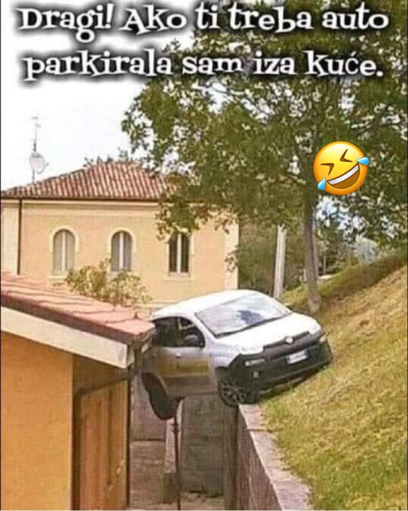 🌞 Sunčica 🐬 (@suncicadan48) on Twitter photo 