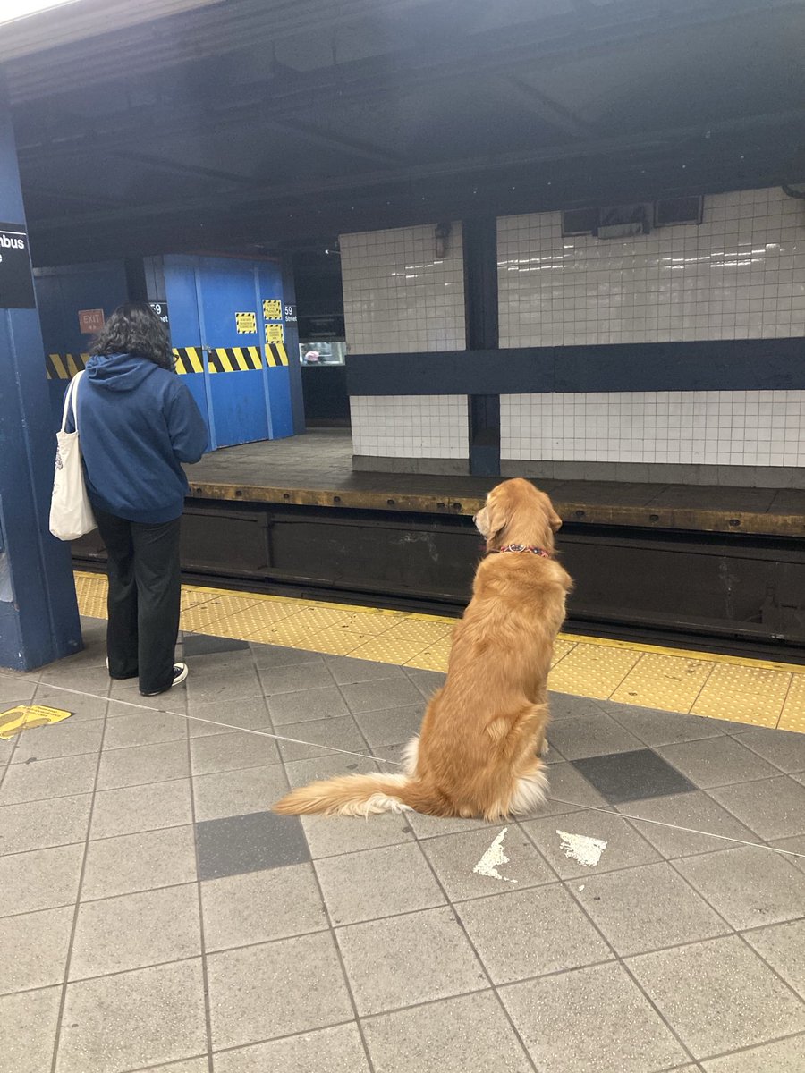MikeRezendes's tweet image. Where’s the damn train? Finally, right?