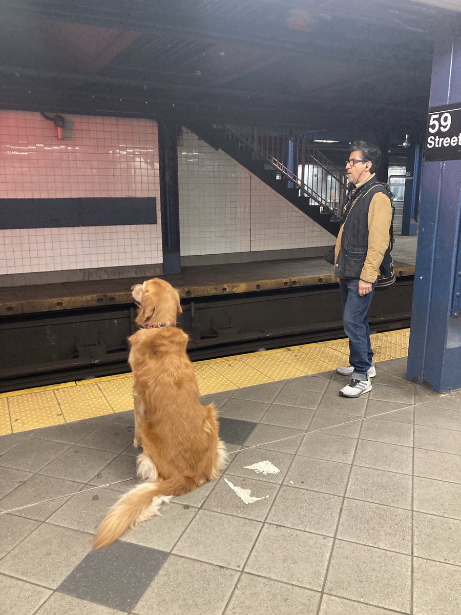 MikeRezendes's tweet image. Where’s the damn train? Finally, right?