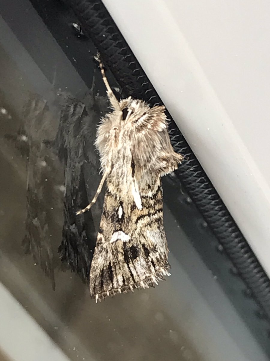 Phil Jackman tweet media