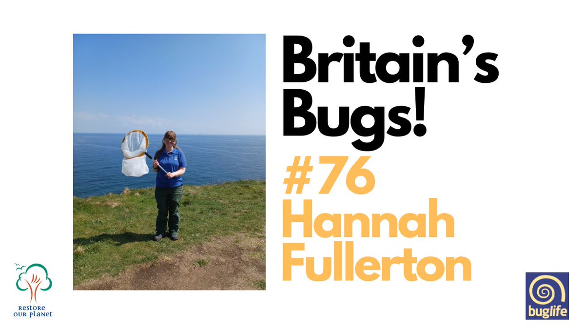 We speak with Buglife who share with us the current state of #invertebrates across the country and what can be done to reverse their alarming decline. 

Watch: youtube.com/watch?v=SiqqL_…

#Buglife #EndangeredSpecies #RestoreOurPlanet #Bugs #Insects <a href="/Buzz_dont_tweet/">Buglife</a>