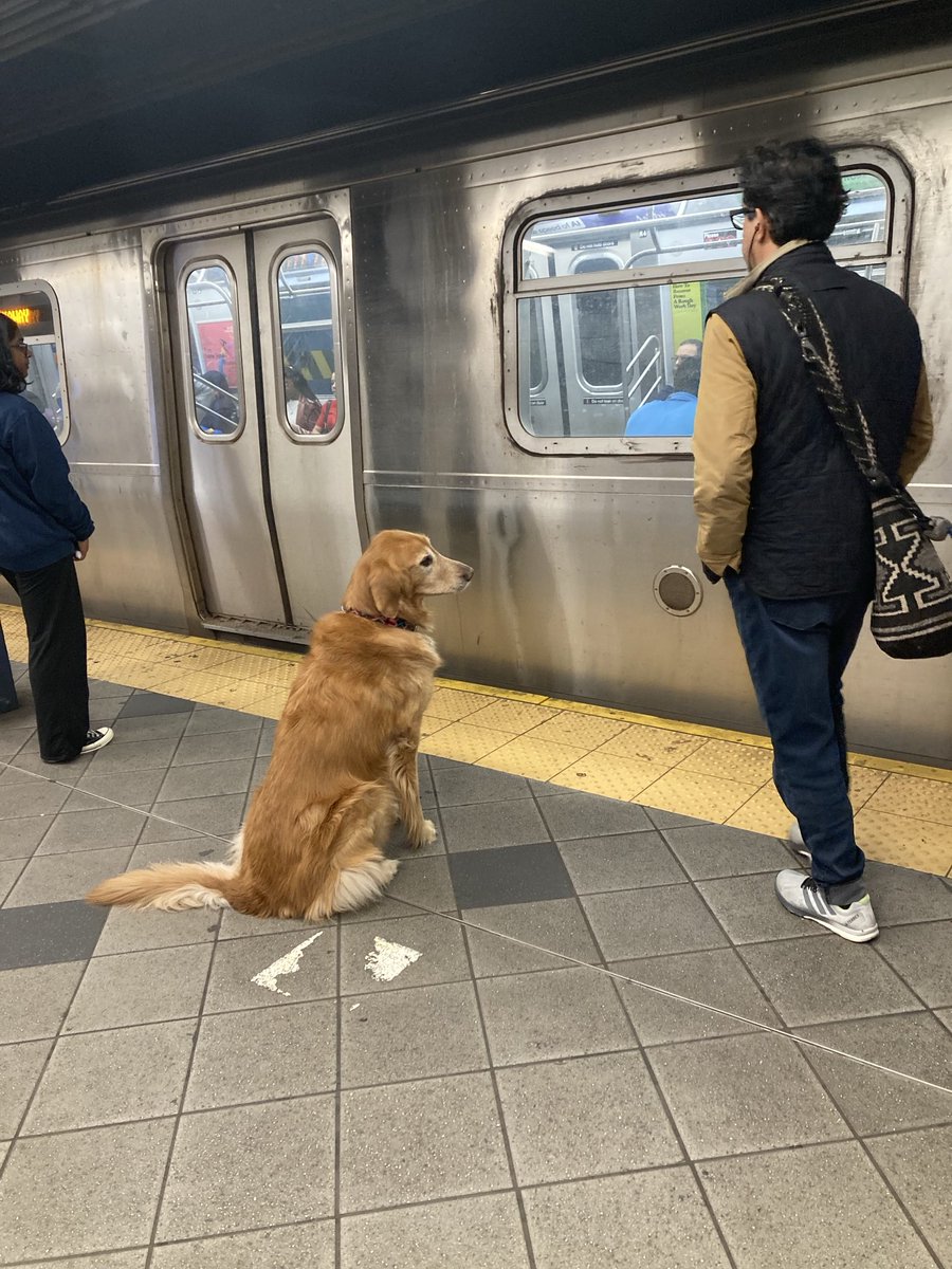 MikeRezendes's tweet image. Where’s the damn train? Finally, right?