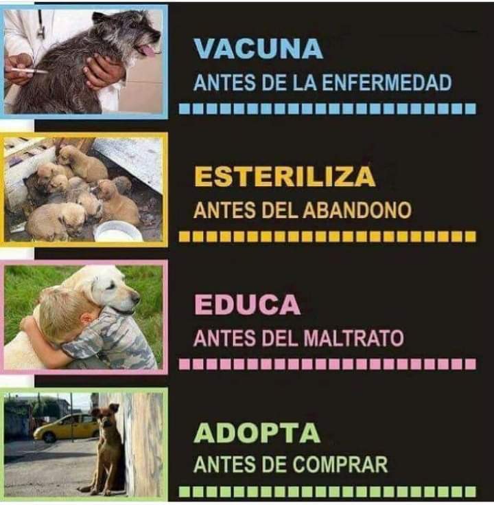 Guadalupe Ramirez (@gramirezf_d) on Twitter photo 