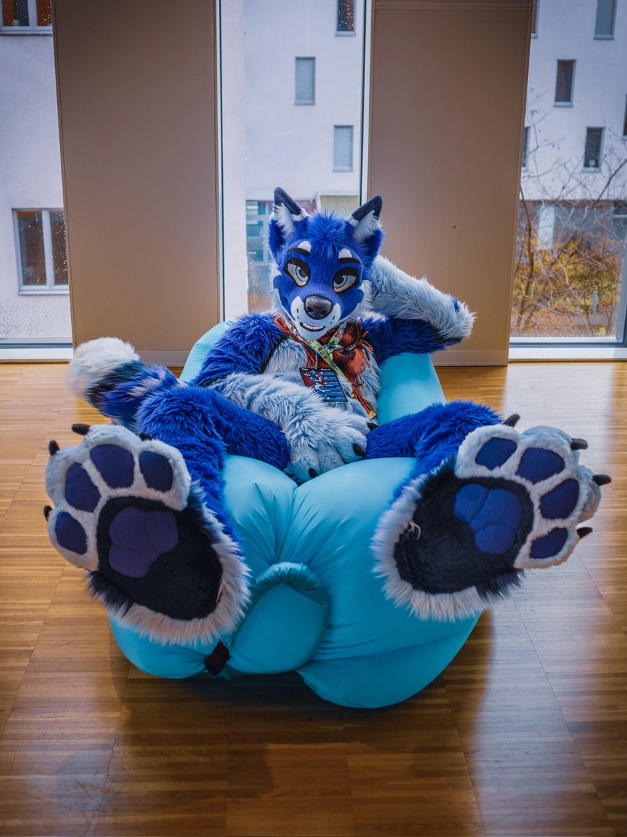 It's #PawDay you say? Well enjoy 😘🐾

📸: <a href="/SquashTFC/">Squash 🐾 🔜 Pack Weekend</a>