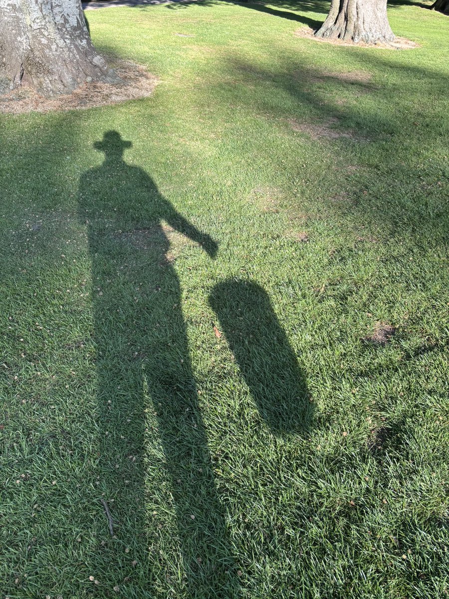 A wonderful evening for filling in divots <a href="/ShandonParkGC/">Shandon Park GC</a> - huge thanks to all the volunteers including the Captain and several Past Captains who came out to tidy the course ⛳️ and get the place shipshape for the <a href="/GolfIreland_/">Golf Ireland</a> Men’s 🏌️‍♂️ and Women’s 🏌️‍♀️ Strokeplay next week.