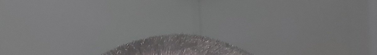 timarabel's tweet photo. Teaser.... https://t.co/iyhKje02Tr
