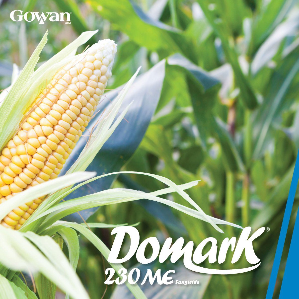 Gowan Company tweet media