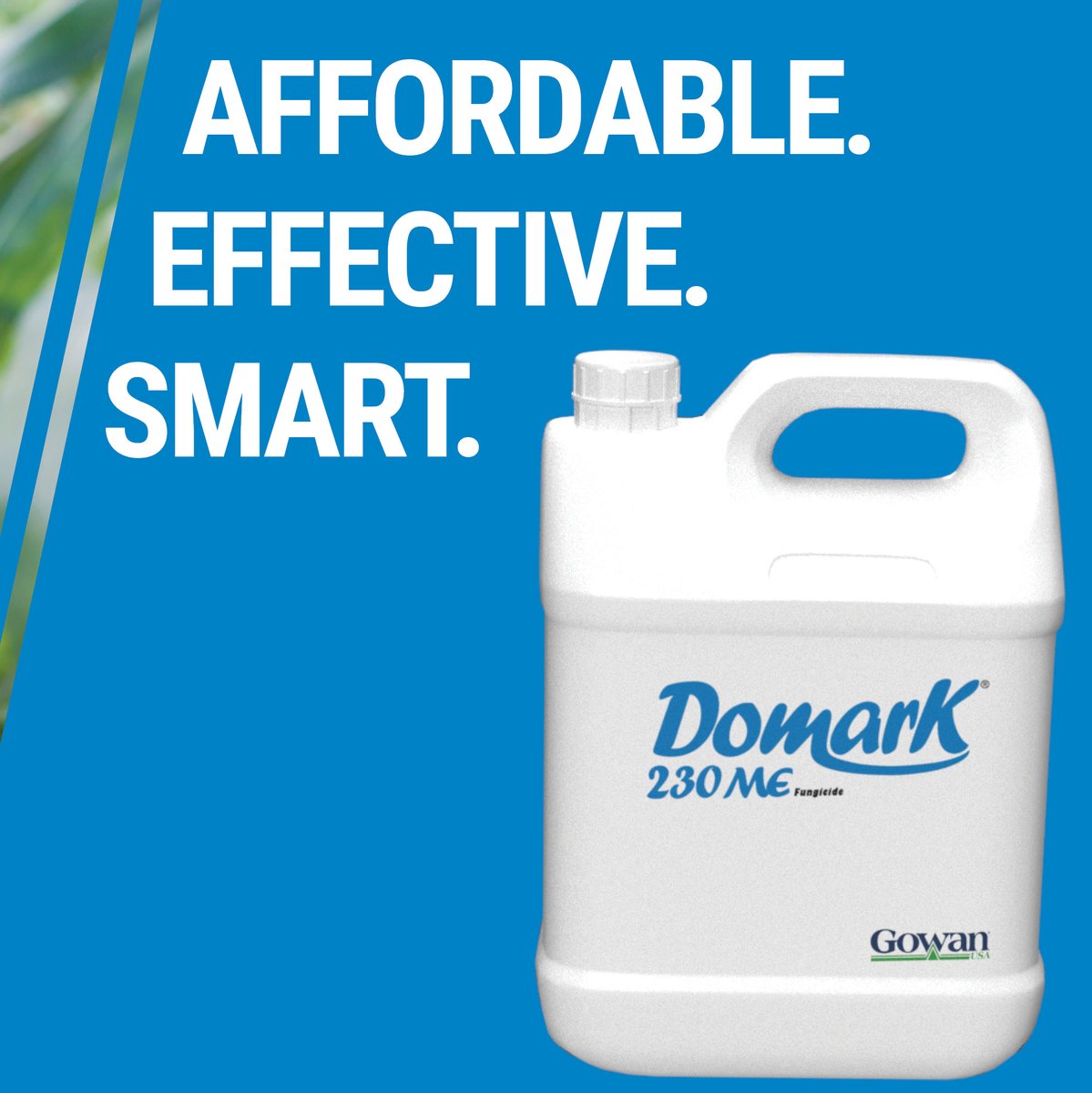 Gowan Company tweet media