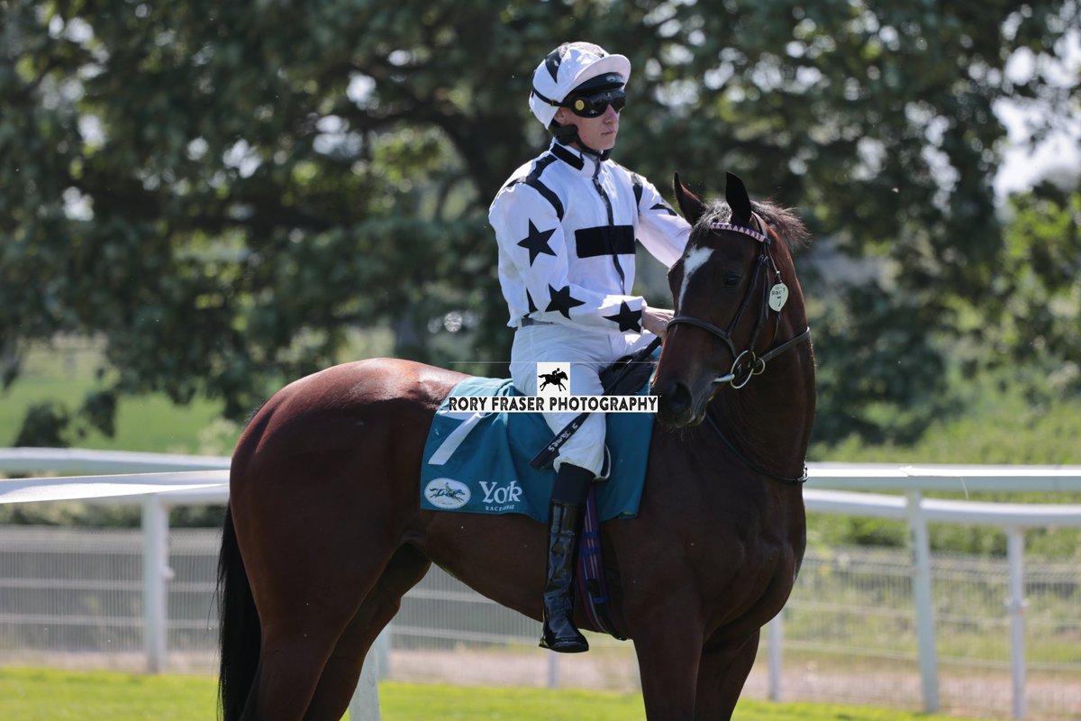 Rory Fraser Photography🤘 (@92roryf) on Twitter photo Fourth at York on Friday in the listed Marygate Fillies' Stakes (5f), SAUCY JANE (Lope Y Fernandez x Sea Horn)
Trained by <a href="/jmorlandracing/">Jack Morland Racing</a>, owned by <a href="/NBradleyRacing/">Nick Bradley Racing</a> and ridden by <a href="/samjock22/">Sam James</a>
A wide margin winner at Beverley on second start last time out. Fourth at York on Friday in the listed Marygate Fillies' Stakes (5f), SAUCY JANE (Lope Y Fernandez x Sea Horn)
Trained by <a href="/jmorlandracing/">Jack Morland Racing</a>, owned by <a href="/NBradleyRacing/">Nick Bradley Racing</a> and ridden by <a href="/samjock22/">Sam James</a>
A wide margin winner at Beverley on second start last time out.