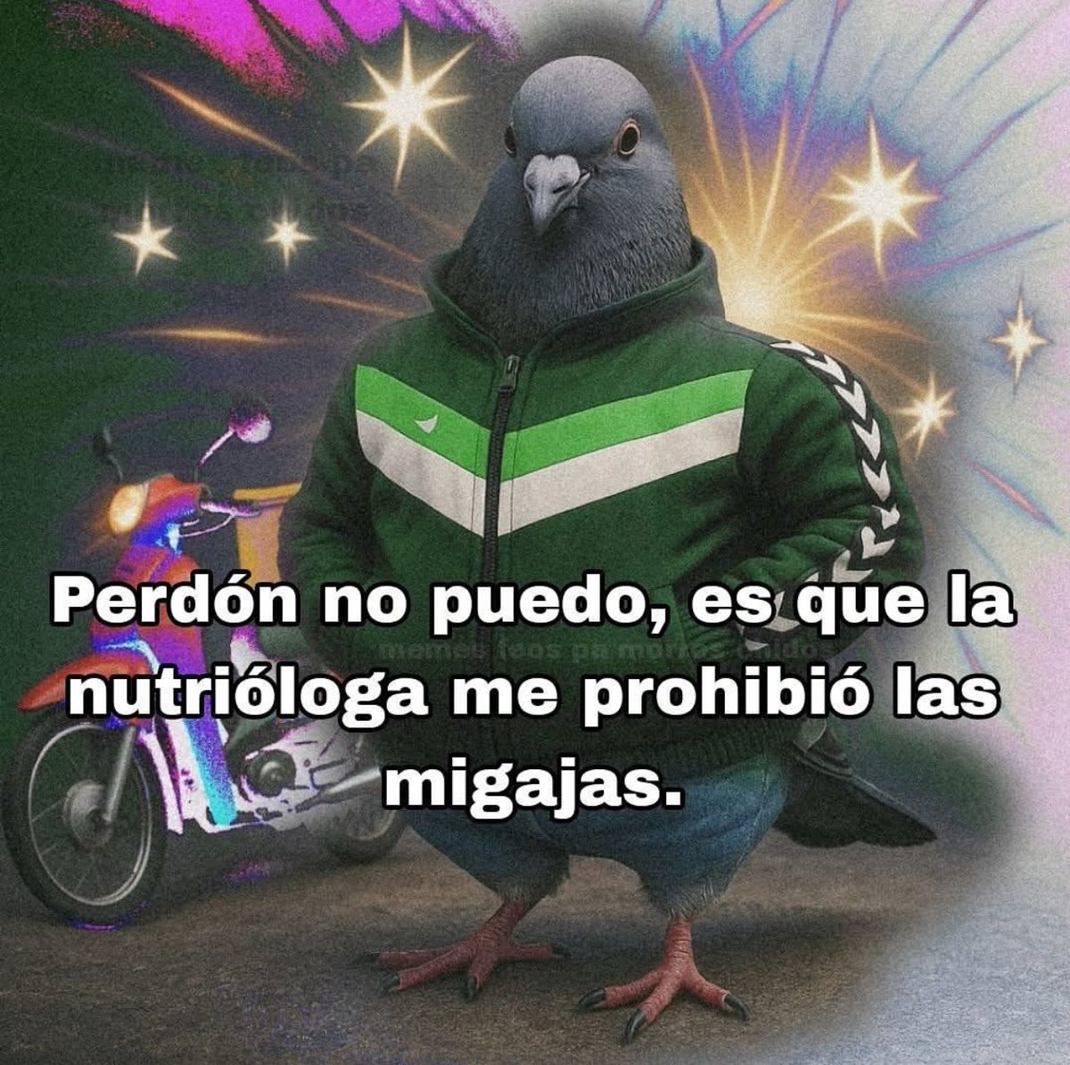 No, gracias.