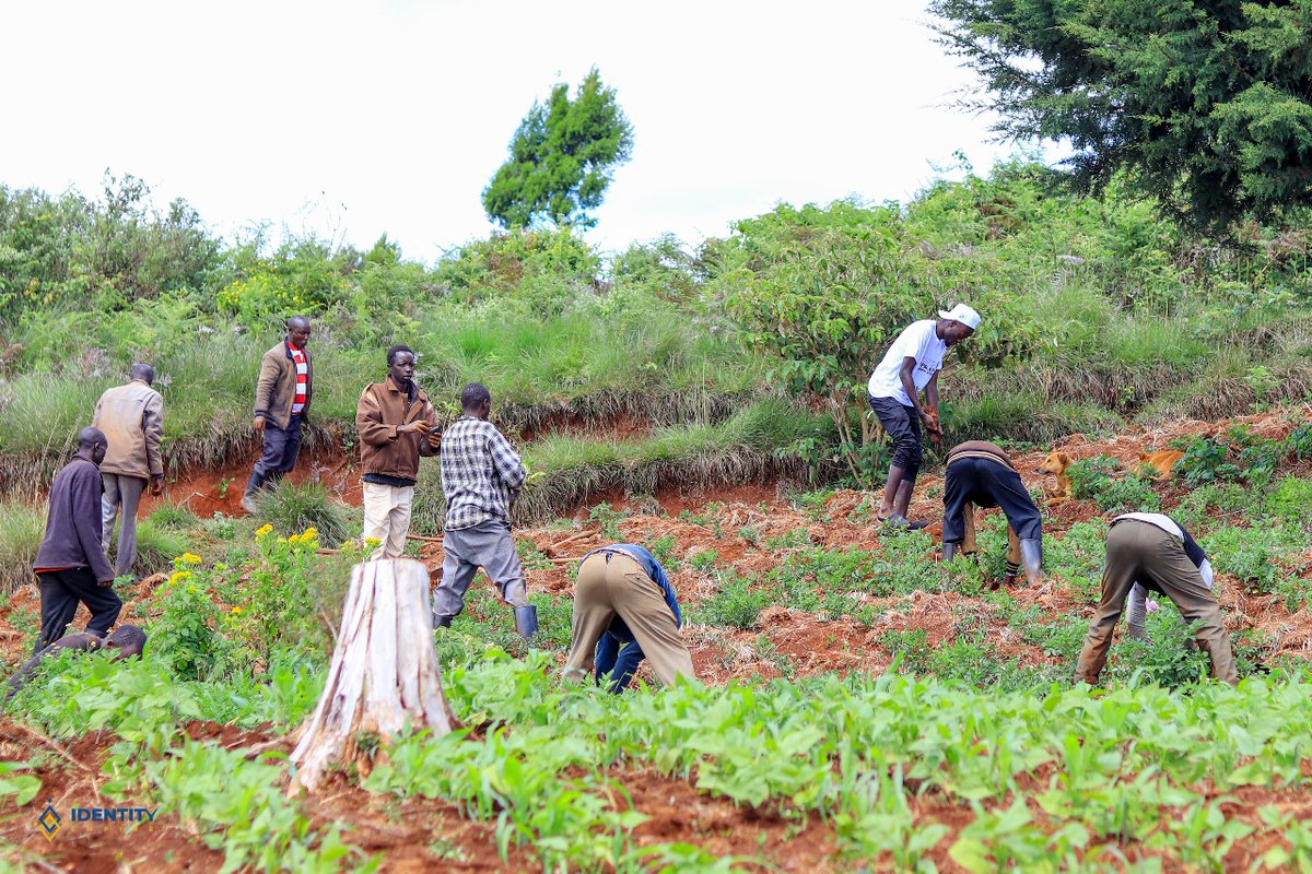 "Every tree planted is a promise to the future." 📷
Day 2 of the <a href="/yfga_kenya/">Youths For Green Action Kenya</a>'s Kipkabus Forest 200000 Trees campaign reminds us that reforestation is not just about numbers, it's about people, purpose, and perseverance.
We’re proud to walk this journey alongside our community,